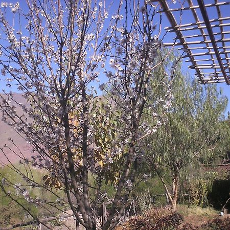 Auberge Tigmmi N'Tamazirte Ijjoukak 외부 사진